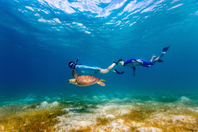 Turtle Canyon Snorkel Adventure - Small Group 6 Passengers - Leaving Kewalo Basin Harbor for the Waikiki coast