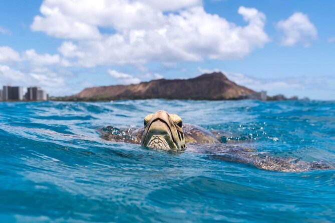Turtle Canyon Snorkel Adventure - Small Group 6 Passengers - Is $105 a fair price?