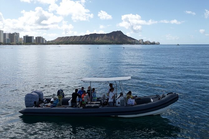 Turtle Canyon Snorkel: Semi Private Boat Tour - Who should book this Oahu snorkeling tour?