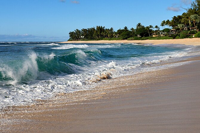 Unforgettable Day on Oahu | Small Group Circle Island Tour - Dole Plantation and the return to Waikiki