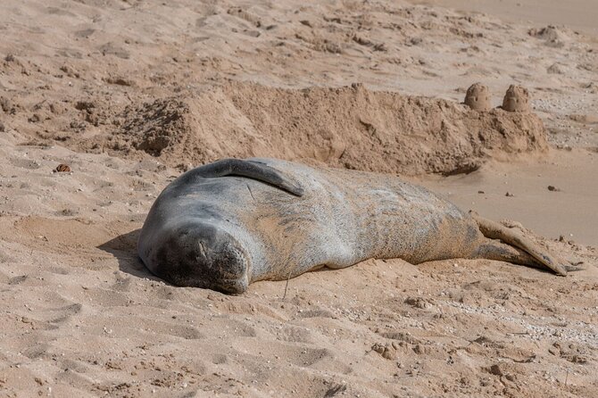 Unforgettable Day on Oahu | Small Group Circle Island Tour - The guides can make or break the day