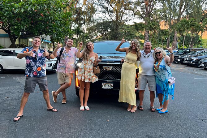 VIP Luxury Transfers: Honolulu Airport ↔ Waikiki ↔ Cruise Port - What happens at Honolulu Airport
