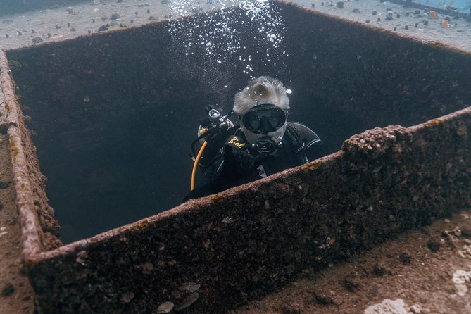Waikiki 2 Tank World Class Wreck SCUBA Diving - Certified Only - Two very different underwater stops