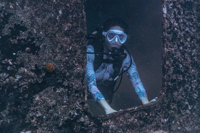 Waikiki 2 Tank World Class Wreck SCUBA Diving - Certified Only - Marine life is a major part of the reward