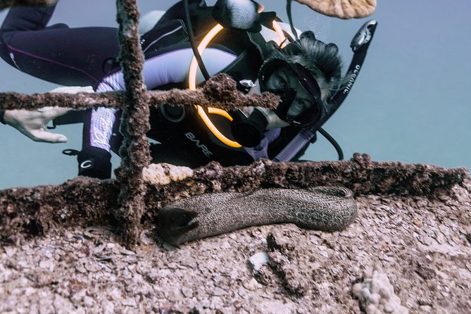 Waikiki 2 Tank World Class Wreck SCUBA Diving - Certified Only - Timing, health, and flight rules