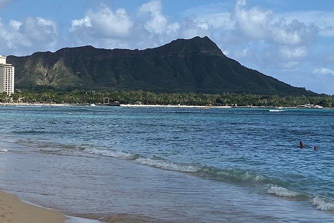 Waikiki 3pm Tradewind Sail - Open Bar Included - Wildlife watching from the catamaran