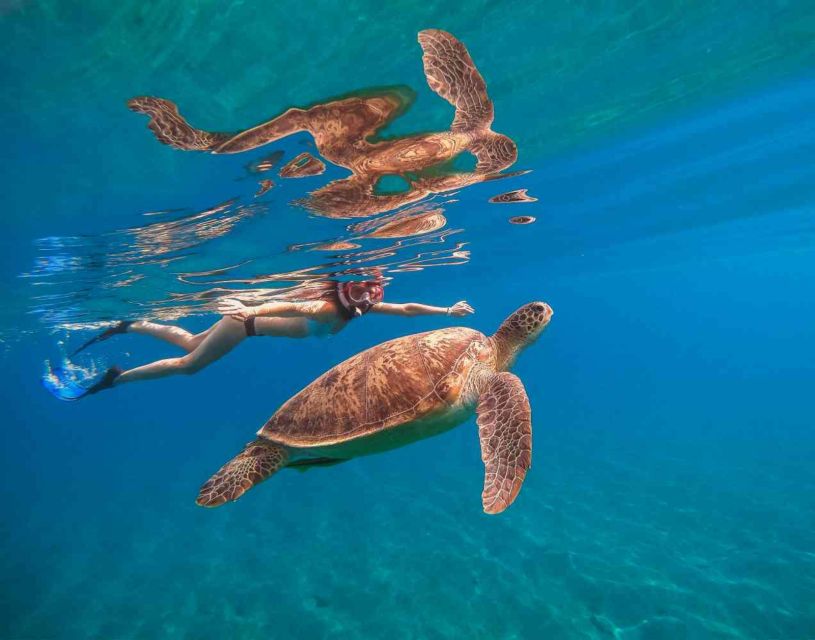 Waikiki: 5-in-1 Turtle Snorkeling Trip with Shuttle Option - Who will enjoy this most