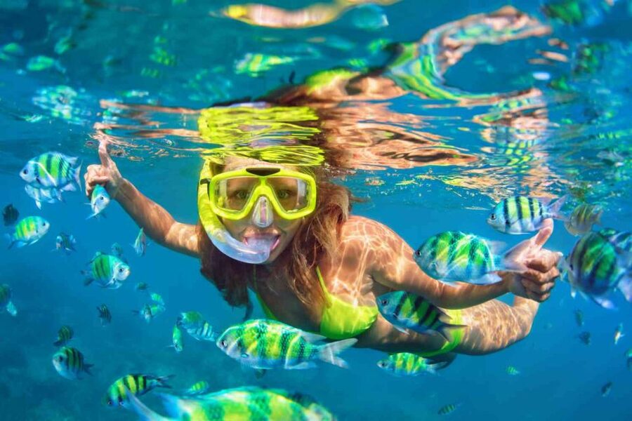 Waikiki: 5-in-1 Turtle Snorkeling Trip with Shuttle Option - What to bring for a better day