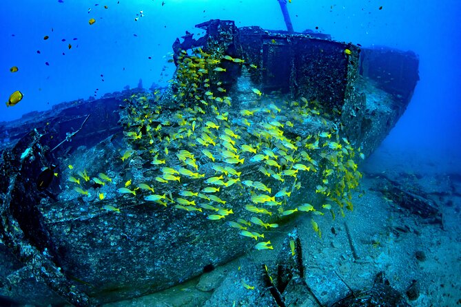 Waikiki: Atlantis Submarine Adventure - Who will enjoy this most?