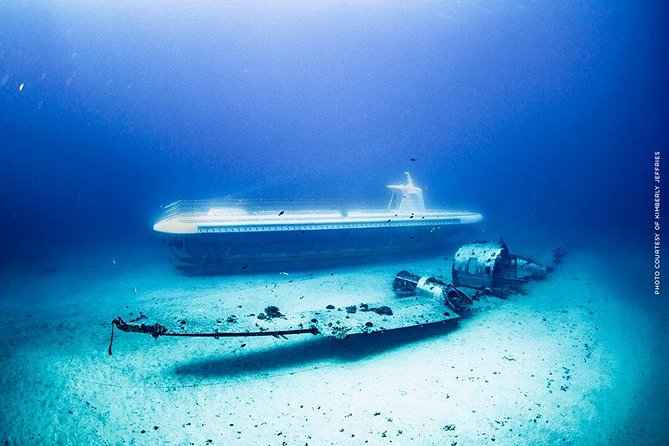 Waikiki: Atlantis Submarine Adventure - What kind of marine life might you see?