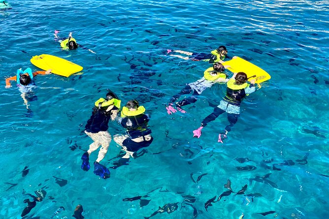 Waikiki Catamaran Escape: Snorkel with Turtles & Water Sports Fun - Turtle snorkeling and sea life