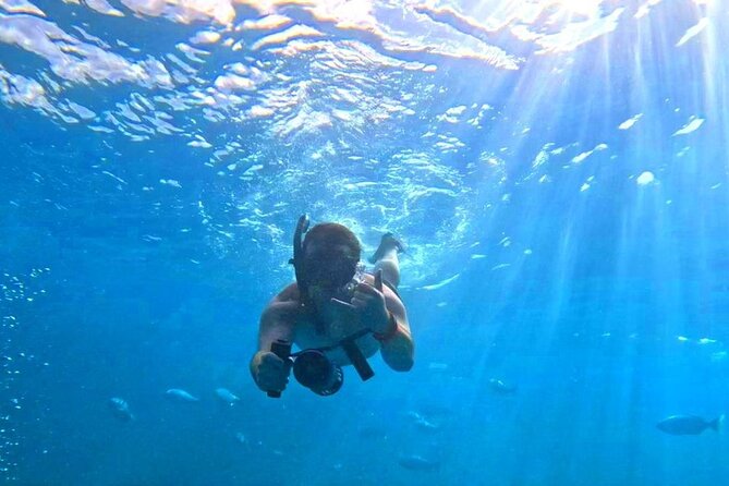 Waikiki Catamaran Escape: Snorkel with Turtles & Water Sports Fun - Sea conditions and motion sickness