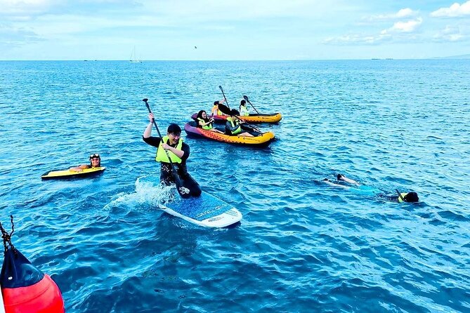 Waikiki Catamaran Escape: Snorkel with Turtles & Water Sports Fun - How much value do you get for $120.69?