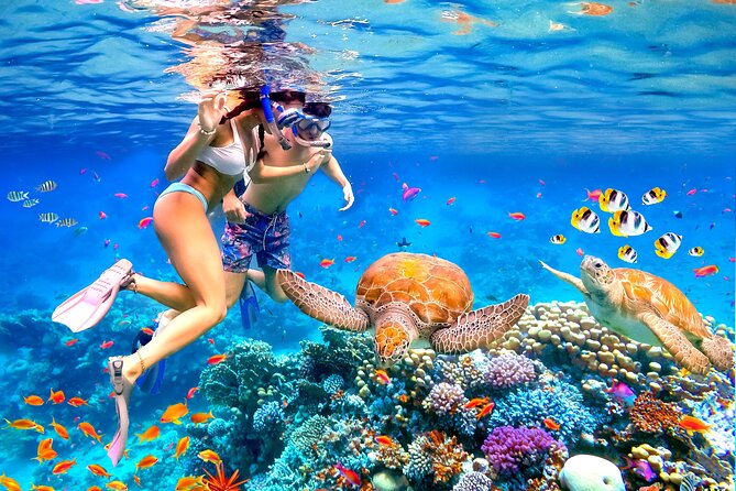 Waikiki Catamaran Escape: Snorkel with Turtles & Water Sports Fun - Diamond Head views from the water