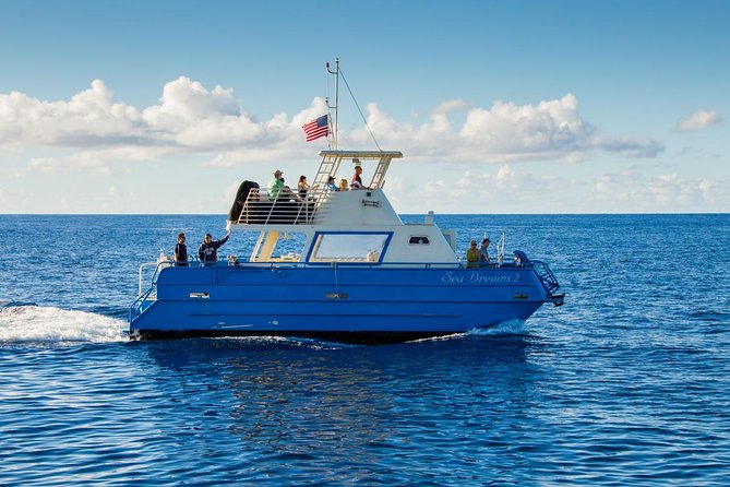 Waikiki Deluxe Catamaran Whale Watch - Understanding the whale guarantee