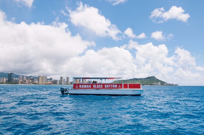 Waikiki Glass Bottom Boat Cruise - The glass bottom, with realistic expectations