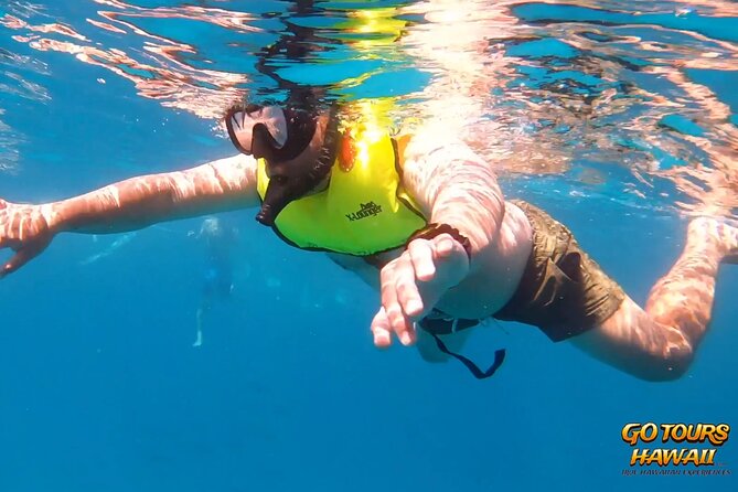 Waikiki Green Sea Turtle Snorkeling Tour - Boat Excursion - How the price compares with the experience
