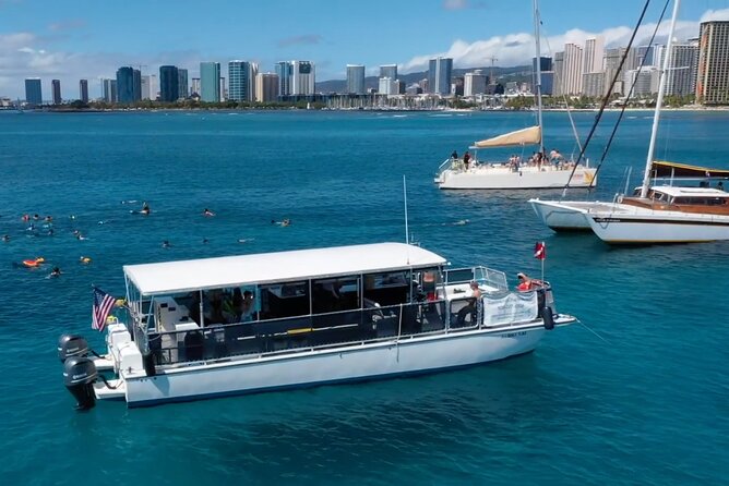 Waikiki Green Sea Turtle Snorkeling Tour - Boat Excursion - Who will get the most from this outing