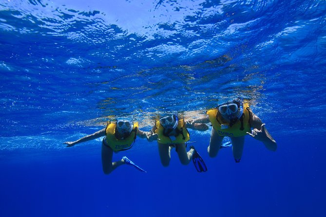 Waikiki, Hawaii: Turtle Canyon Snorkel Excursion - Snacks, gear, and the value of $79.21