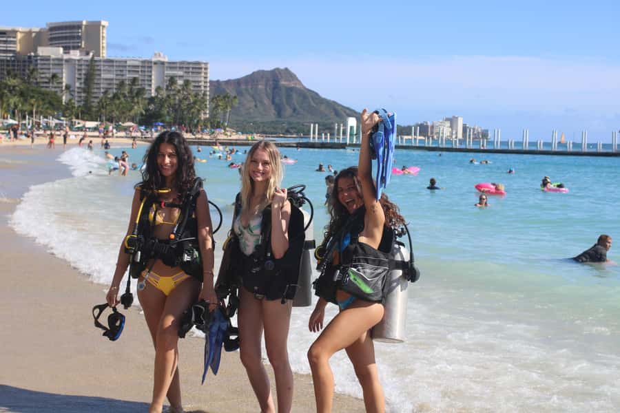 Waikiki: Honolulu Beginner Scuba Diving with Videos - Who will enjoy this most