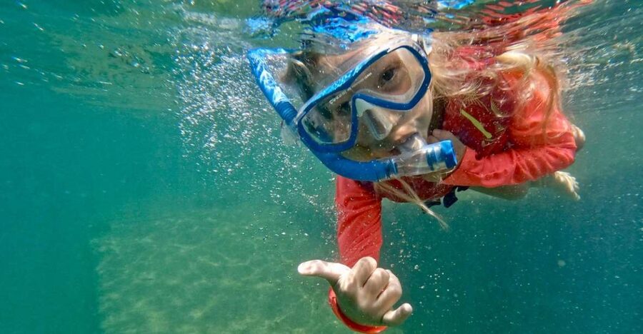 Waikiki: Honolulu Beginner Snorkeling Tour with Videos - Key points to know before booking