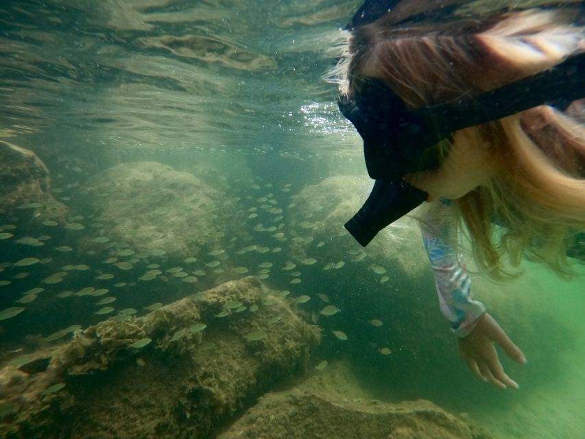 Waikiki: Honolulu Beginner Snorkeling Tour with Videos - Why Magic Island Lagoon works for beginners