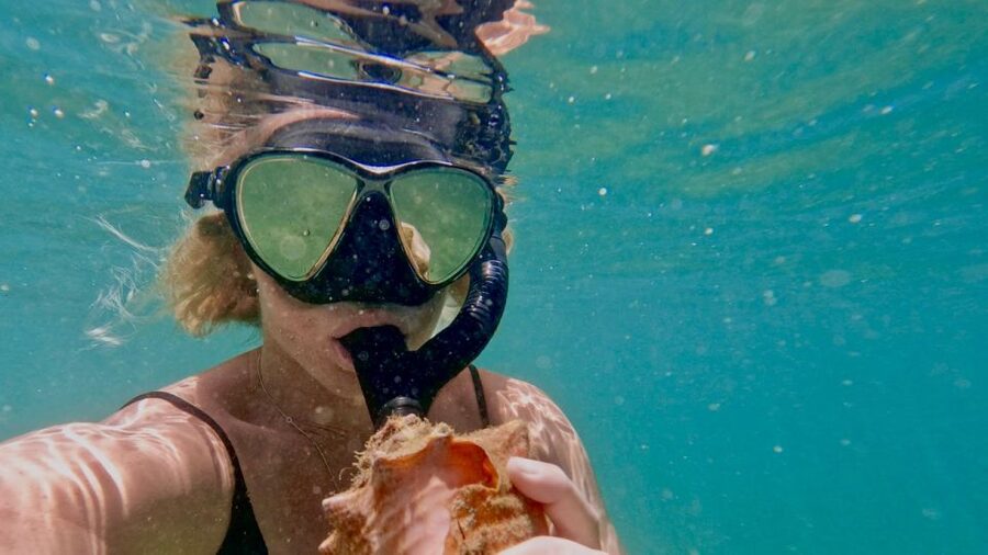 Waikiki: Honolulu Beginner Snorkeling Tour with Videos - Who should choose this snorkeling lesson?