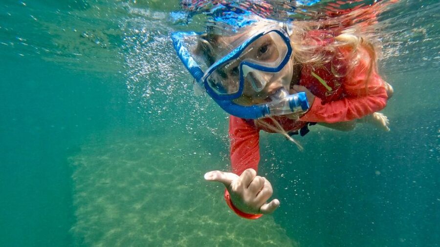 Waikiki: Honolulu Beginner Snorkeling Tour with Videos - Small details that can make the session better
