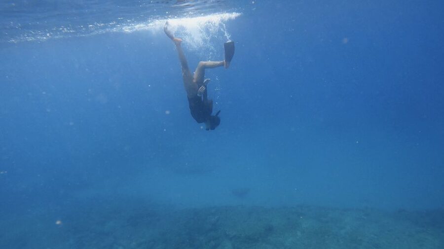Waikiki: Honolulu Beginner Snorkeling Tour with Videos - The 90-minute visit, from briefing to phone-ready videos