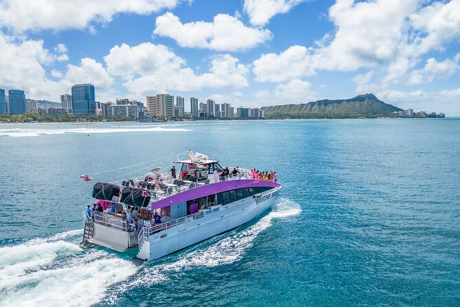 Waikiki, Oahu 2-Hour Whale Watching: Guaranteed Sightings - What the two-hour cruise is really like