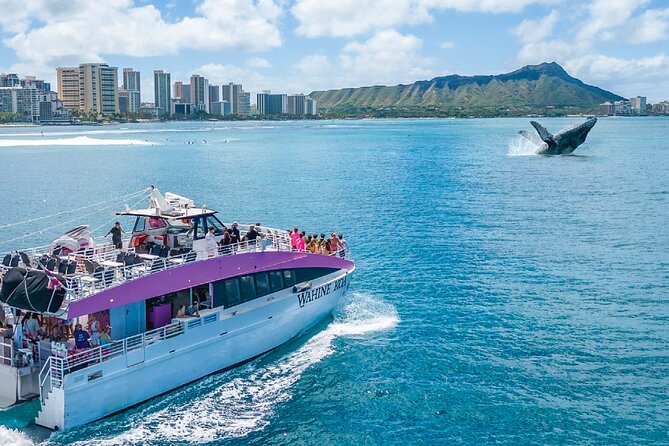 Waikiki, Oahu 2-Hour Whale Watching: Guaranteed Sightings - Watching for the first blow