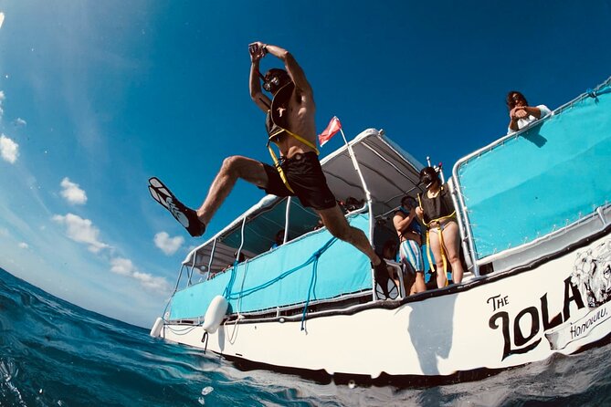Waikiki Snorkel Tour - Turtle Canyons and the Green Sea Turtles