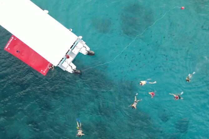 Waikiki Snorkel Tour - The Crew Makes the Difference
