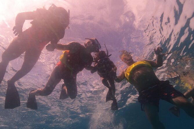 Waikiki: Turtle Canyon Snorkel - Weather, cancellation, and timing details
