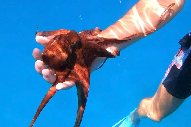 Waikiki Turtle Canyon Snorkel: Turtles Guaranteed - Crew support, gear, and boat comfort