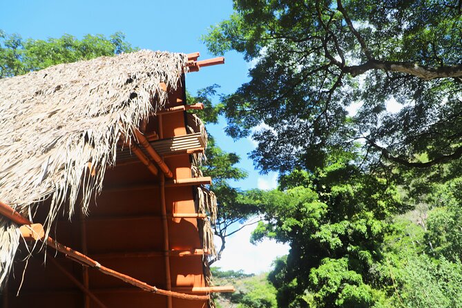 Waimea Valley Waterfall Swim & Dole Plantation Tour with Lunch - Key points to know before you book