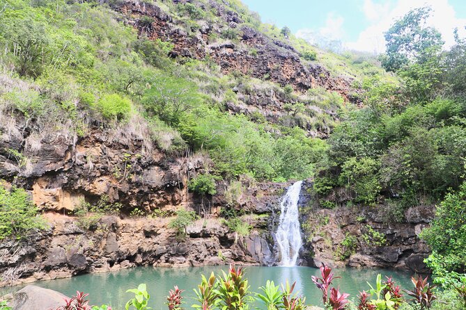 Waimea Valley Waterfall Swim & Dole Plantation Tour with Lunch - Lunch in Waimea Valley