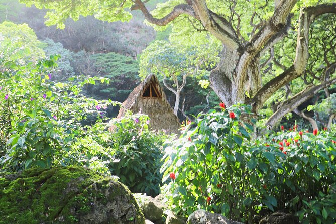 Waimea Valley Waterfall Swim & Dole Plantation Tour with Lunch - The seven-and-a-half-hour schedule and ride