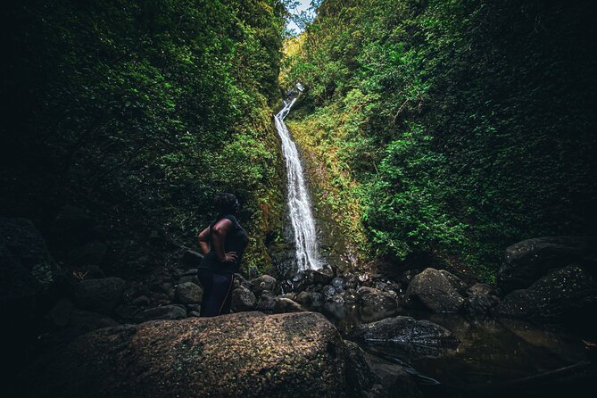 Waterfall Hike in Hawai'i Rainforest Trail - Reaching the waterfall pool