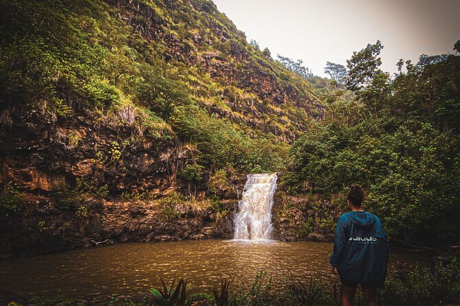 Waterfall Hike in Hawai'i Rainforest Trail - Who will get the most from this hike