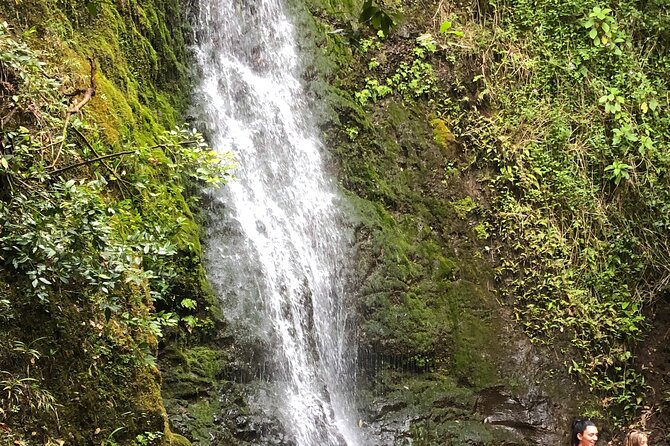 Waterfall Hike , Sightseeing & East Side Beach Day - Key points at a glance