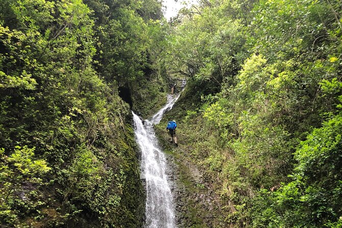 Waterfall Hike , Sightseeing & East Side Beach Day - What the hike feels like on the ground