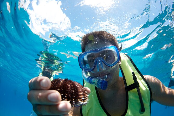 West Oahu Dolphin Watch and Snorkel Sail with Lunch - The snorkeling stop, reef fish, and turtles