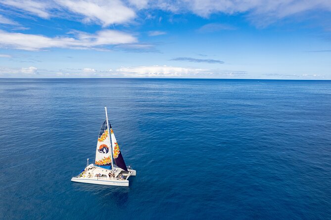 West Oahu Dolphin Watch and Snorkel Sail with Lunch - Makaha and the first search for dolphins
